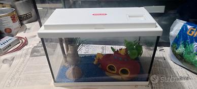 Piccolo acquario