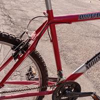 Bicicletta colore rosso