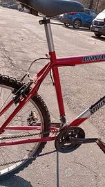 Bicicletta colore rosso