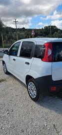 fiat panda Van