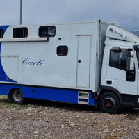 Iveco Van trasporto cavalli e living