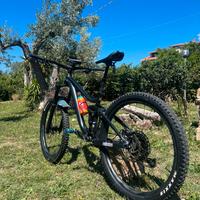 MTB Giant Reign 2