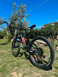 MTB Giant Reign 2