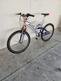 Bottecchia