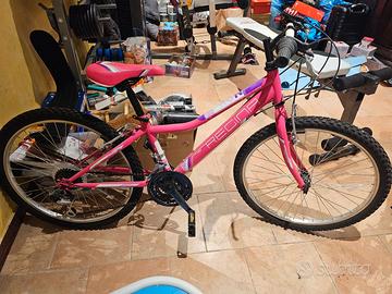 Bicicletta marca Regina, modello 240, colore rosa.