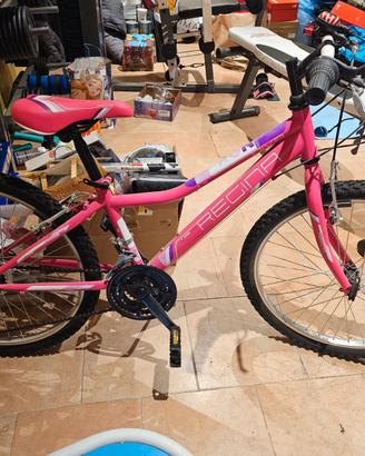 Bicicletta marca Regina, modello 240, colore rosa.