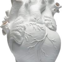 Vaso a forma di cuore anatomico