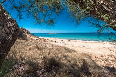 PROMO GIUGNO 13-27GIUGNO sul Lungomare