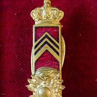 DISTINTIVO SMALTO REGIO ESERCITO WW2