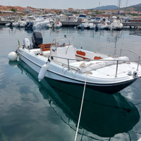 Boston whaler 19