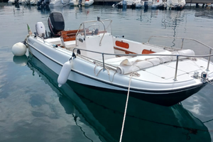 Boston whaler 19