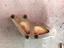 Immagine 13