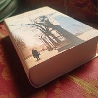 Il gioco dell'angelo" di Carlos Ruiz Zafón.