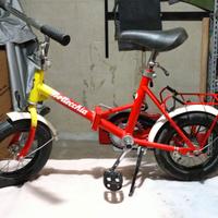 BICICLETTA PIEGHEVOLE CAMPER