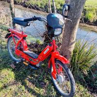 piaggio ciao del 1981 denuncia smarrimento librett