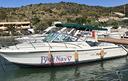 pursuit-2860-denali-con-2x-volvo-penta-225cv
