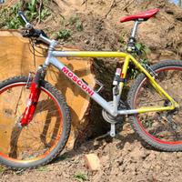 Bici mountain bike