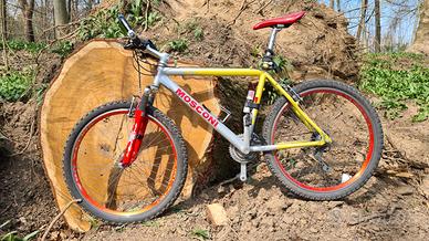Bici mountain bike