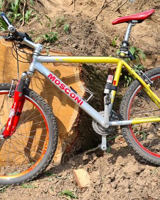 Bici mountain bike