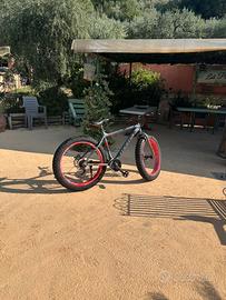 Moma fat bike