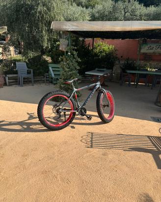 Moma fat bike