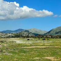 Terreno, Torretta.