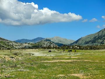 Terreno, Torretta.
