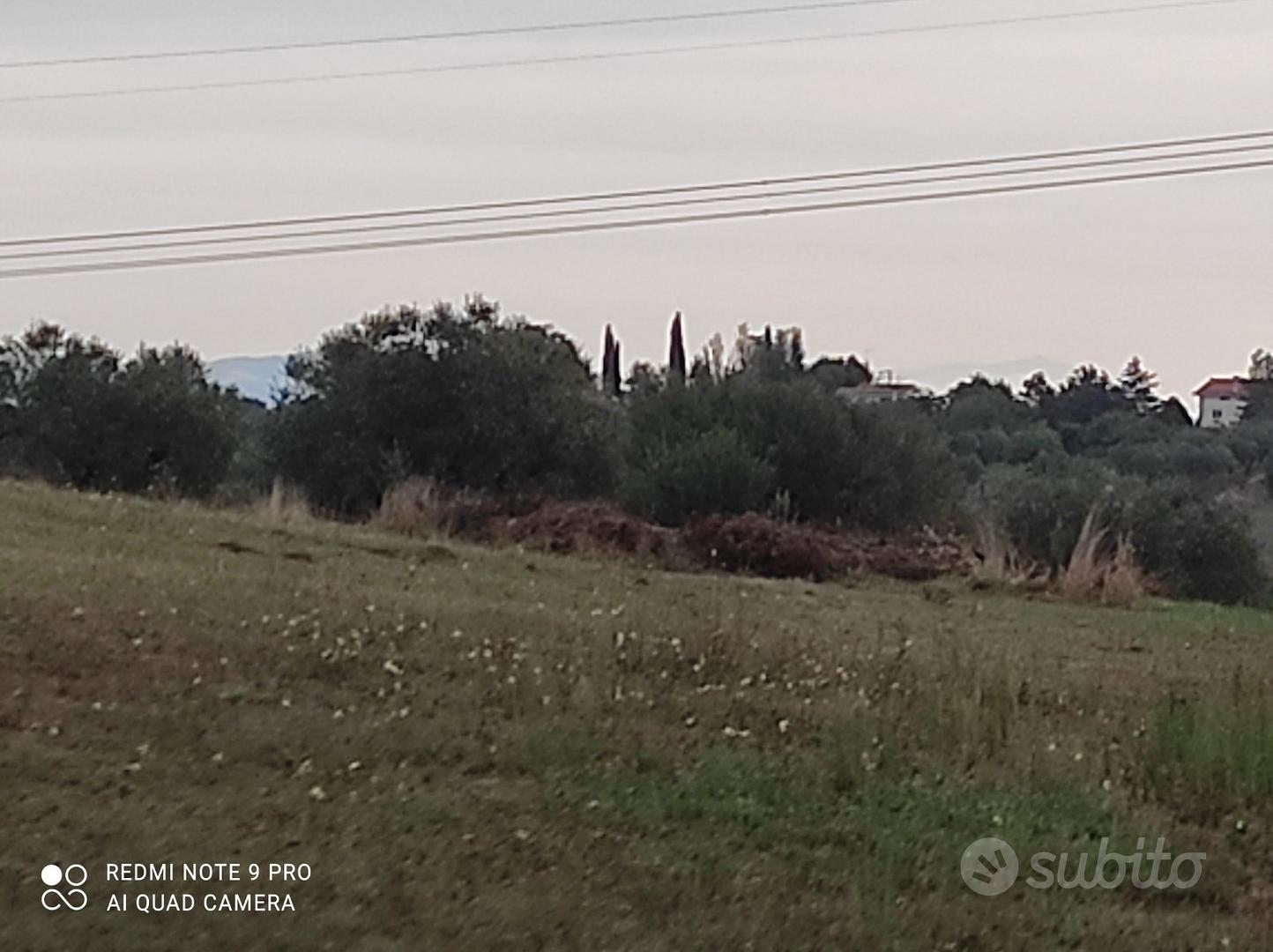 Terreno agricolo - Vista 3