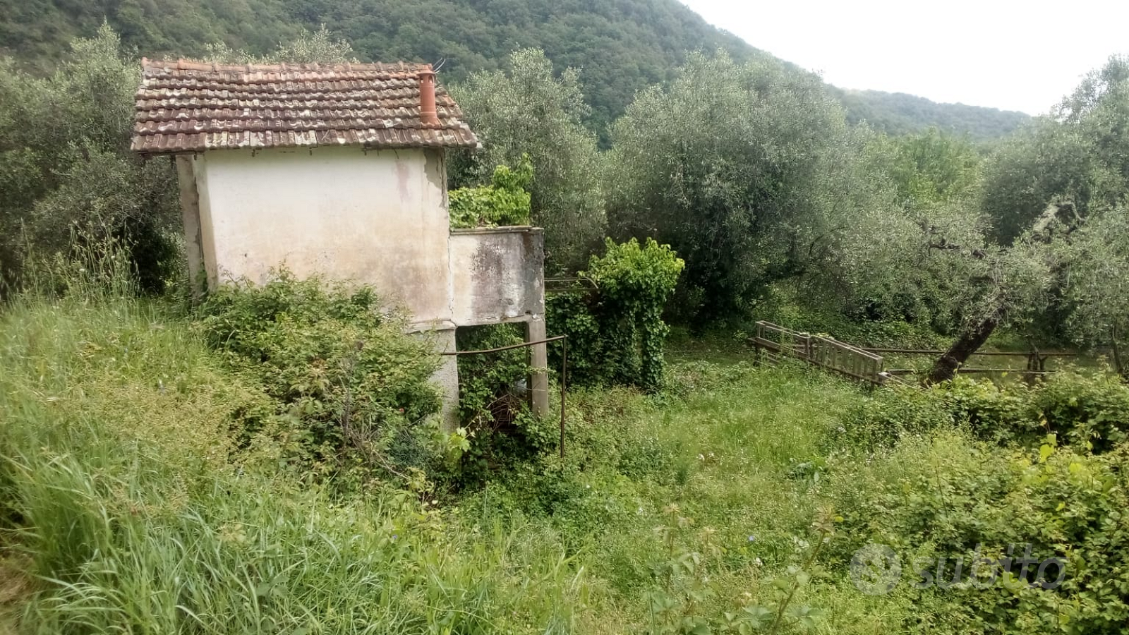 Civile abitazione in LIGURIA Chiusanico (IM) - Vista 3