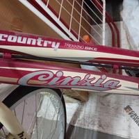 Bicicletta Cinzia Country Trekking Bike con marce