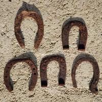 Ferri di cavallo asino e mulo vecchi vintage usati