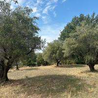 Terreno agricolo