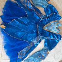 Vestito carnevale bimba principessa