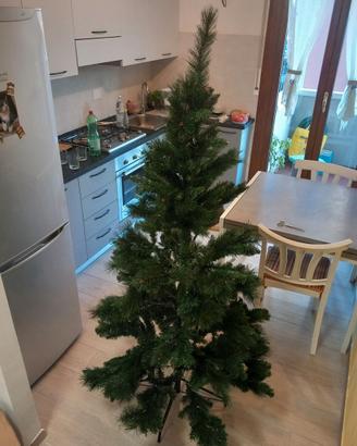 Albero di natale
