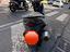 Immagine 5