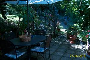 Chalet tra i boschi