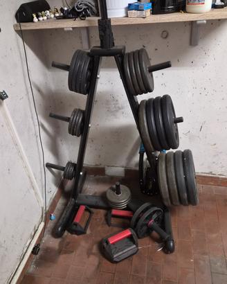 dischi palestra e rastrelliera porta pesi