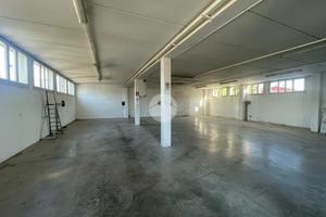 CAPANNONE A ALBANO SANT'ALESSANDRO