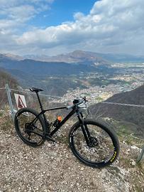 Trek procaliber 9.8 alchemist