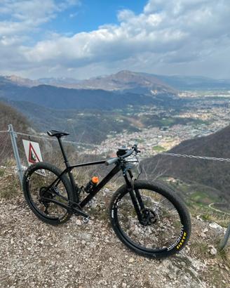 Trek procaliber 9.8 alchemist
