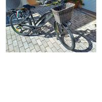 Bici elettrica Armony Misano
