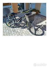 Bici elettrica Armony Misano