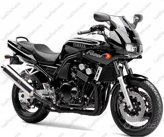 Cupolino per Yamaha FZ6 Fazer Y006B