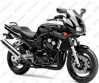 Cupolino per Yamaha FZ6 Fazer Y006B
