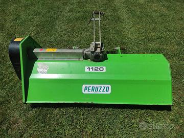 Trincia Peruzzo Frog