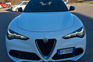 Alfa Romeo Stelvio 2.2 Turbodiesel 210 CV AT8 Q4 S