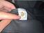 Immagine 5