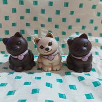 gatto thun 