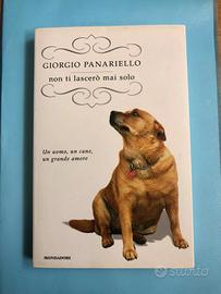 Non ti lascerò mai solo di Giorgio Panariello