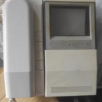 Monitor bianco e nero LT Terraneo WS-10